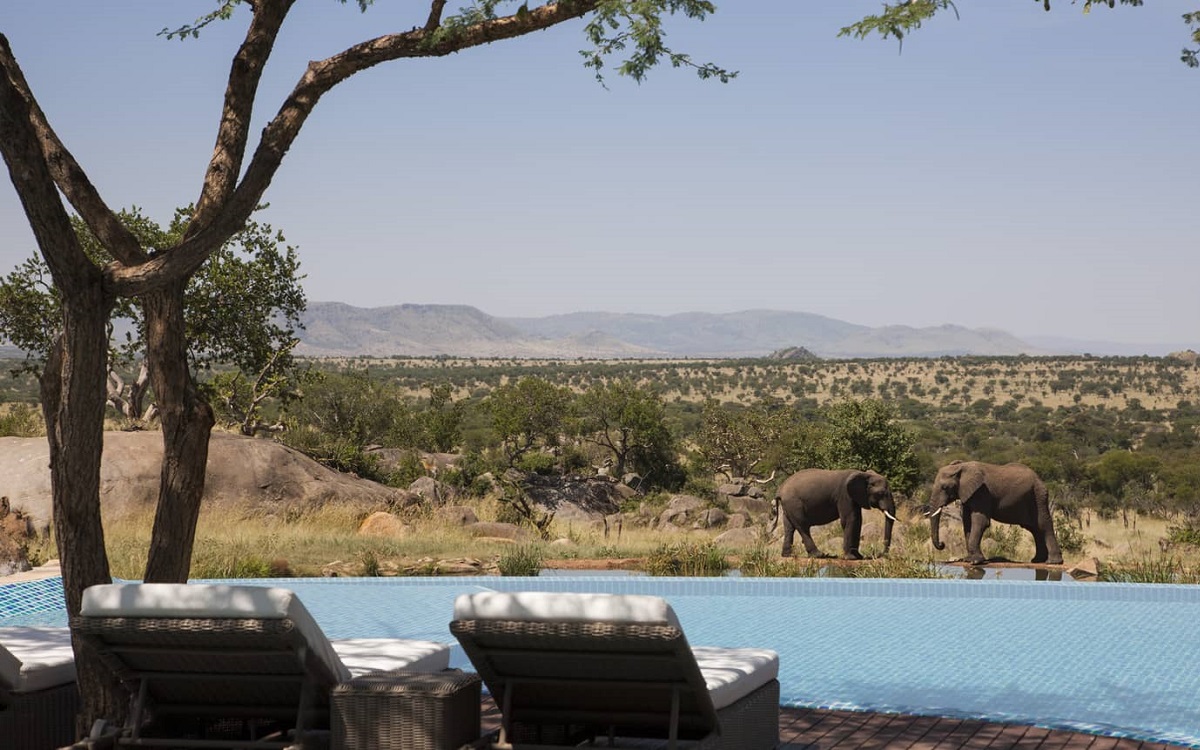 5 days Luxury safari