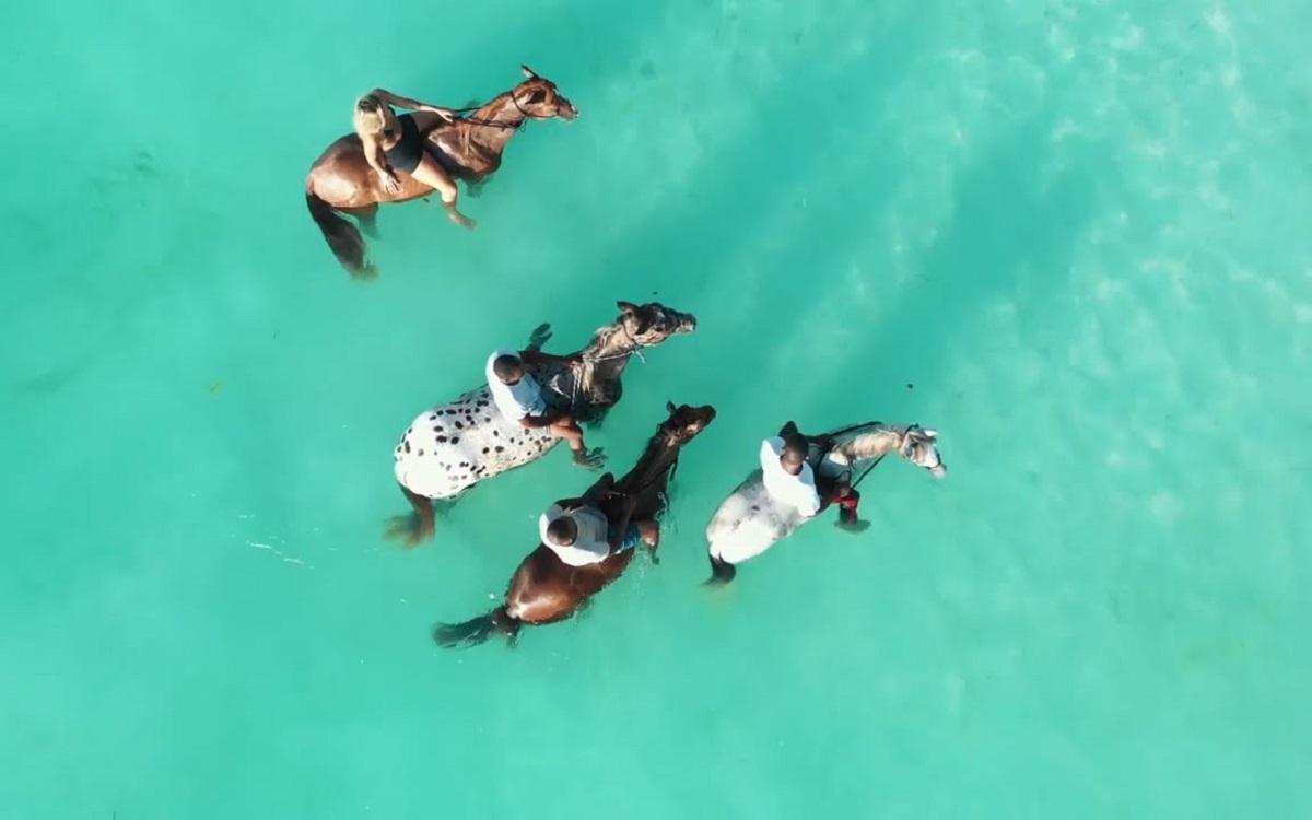 HORSE RIDING IN THE WATER ZANZIBAR