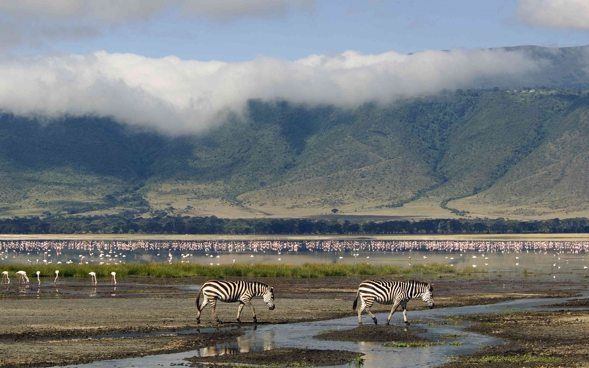 Ngorongoro crater tour